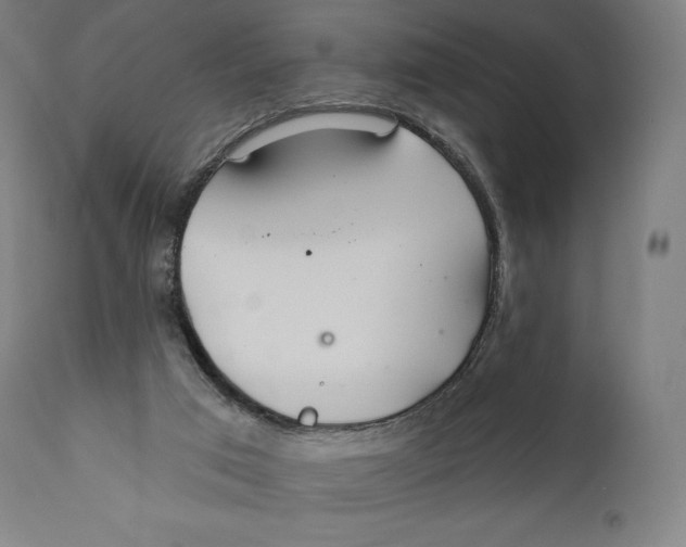 X0000110700017200907101231