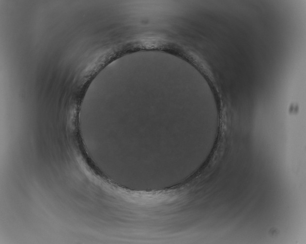 X0000110700018200907101231