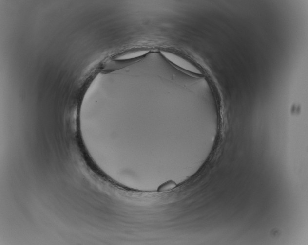 X0000110700019200907101231