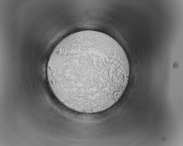 X0000110700020200907101231