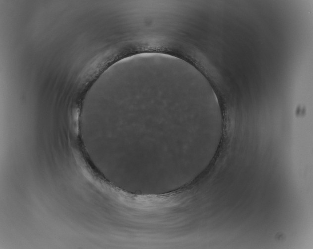 X0000110700022200907101231