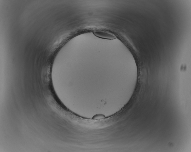 X0000110700023200907101231