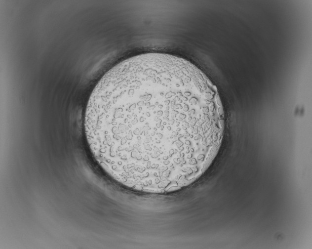 X0000110700024200907101231