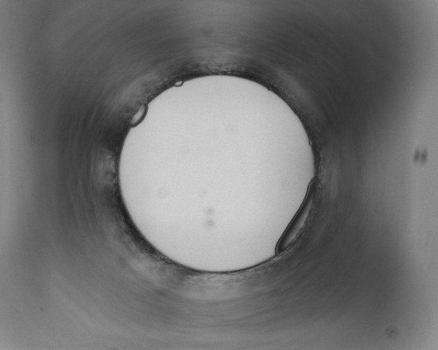 X0000110700025200907101231
