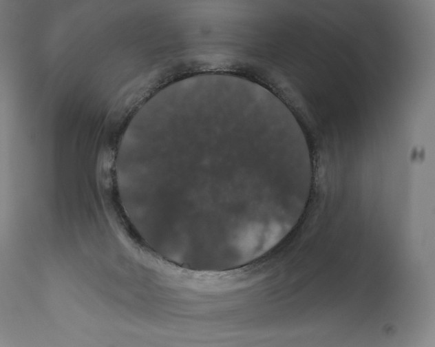 X0000110700026200907101231