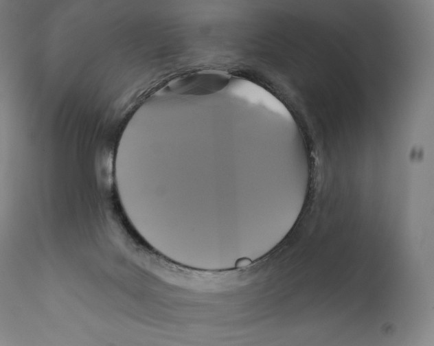X0000110700027200907101231