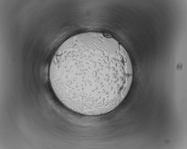 X0000110700028200907101231