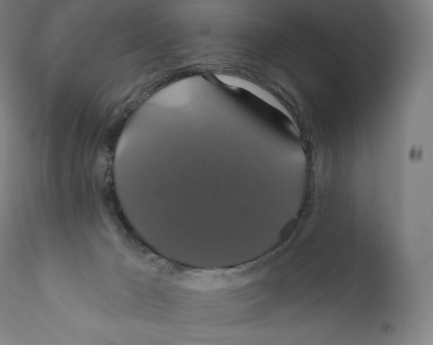 X0000110700029200907101231