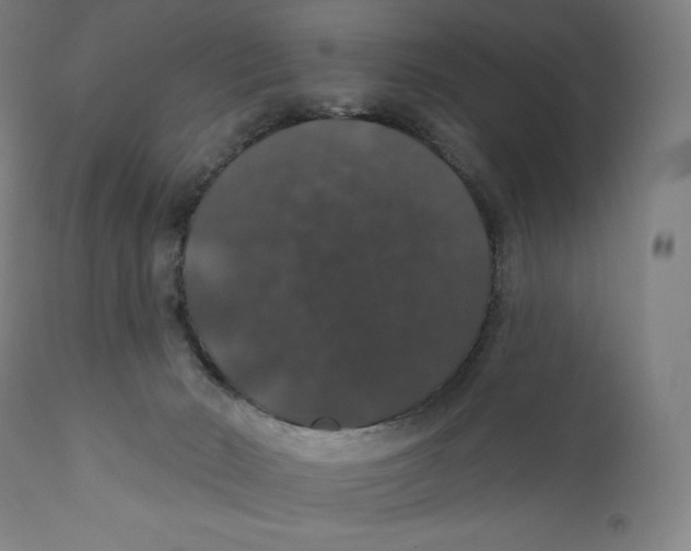 X0000110700030200907101231