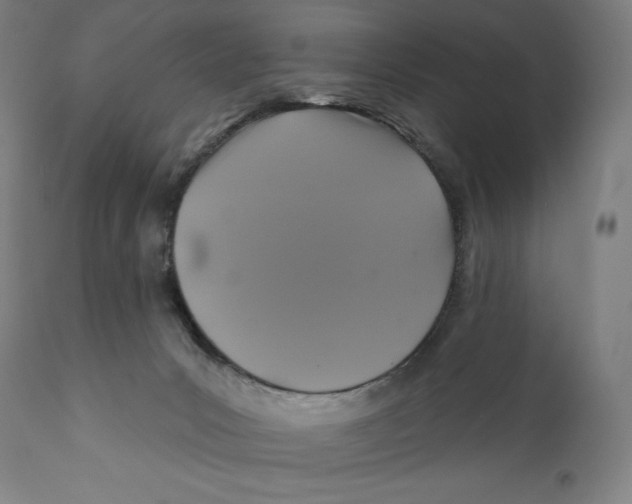 X0000110700031200907101231