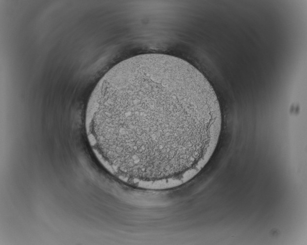 X0000110700032200907101231
