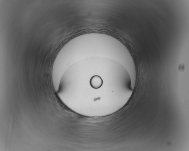 X0000110700033200907101231