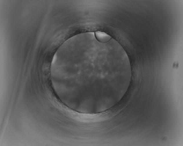 X0000110700034200907101231