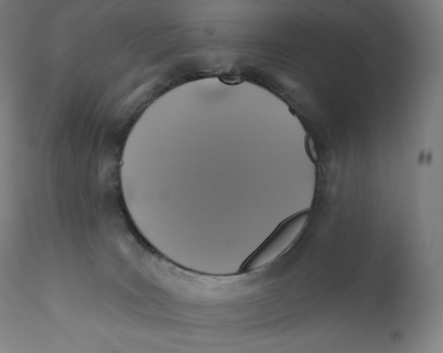X0000110700035200907101231