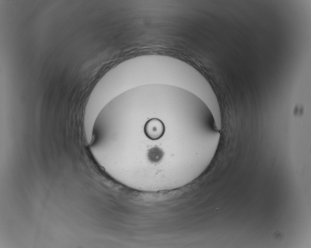 X0000110700037200907101231