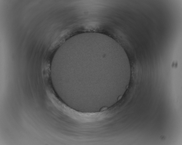 X0000110700038200907101231