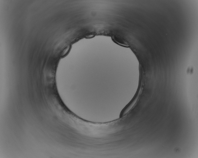 X0000110700039200907101231