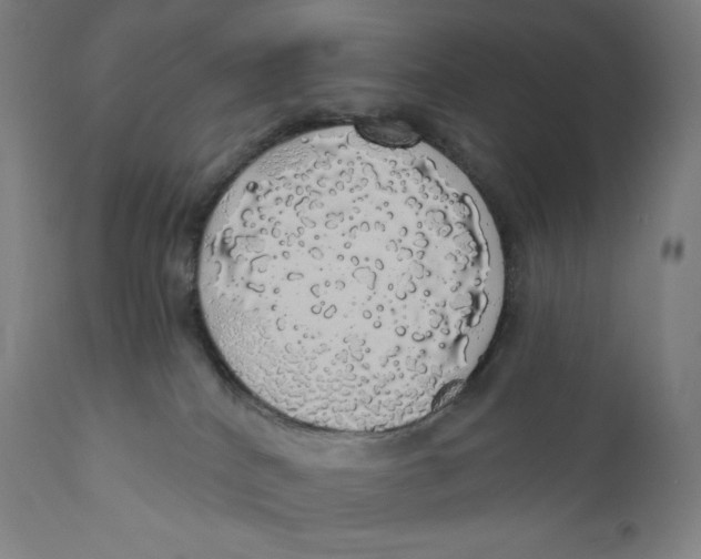 X0000110700040200907101231