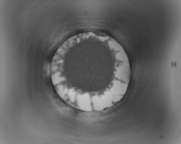 X0000110700041200907101231