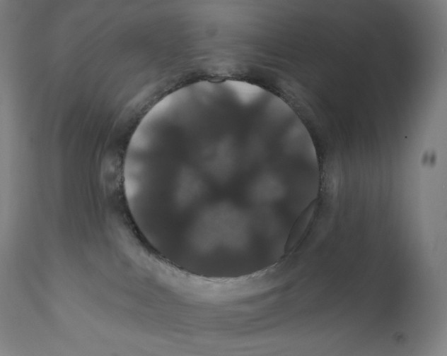 X0000110700043200907101231