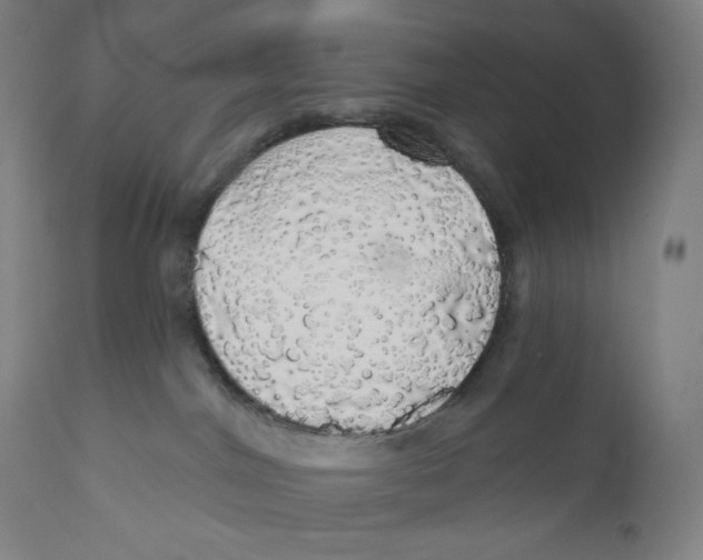 X0000110700044200907101231