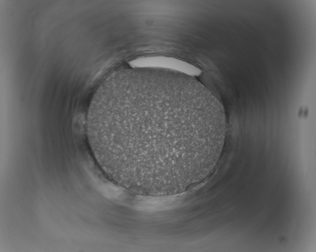 X0000110700045200907101231