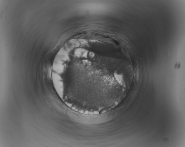 X0000110700046200907101231