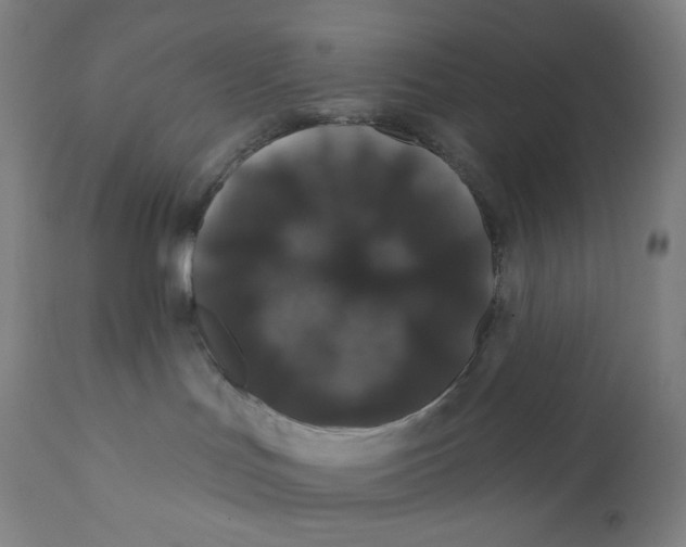 X0000110700047200907101231