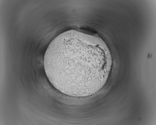 X0000110700048200907101231