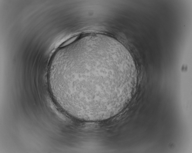 X0000110700050200907101230