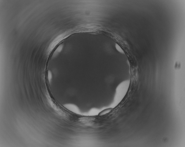 X0000110700051200907101230