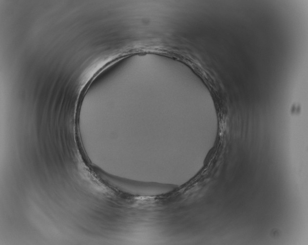X0000110700052200907101230