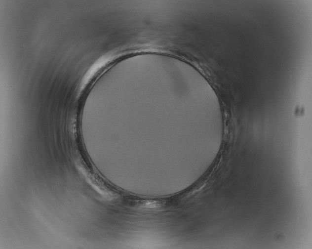 X0000110700056200907101230