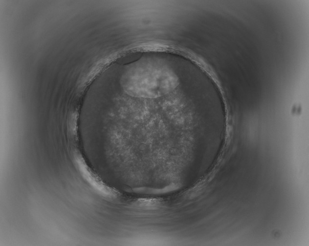 X0000110700057200907101230