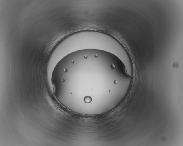 X0000110700058200907101230
