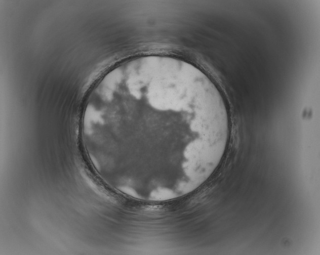 X0000110700059200907101230