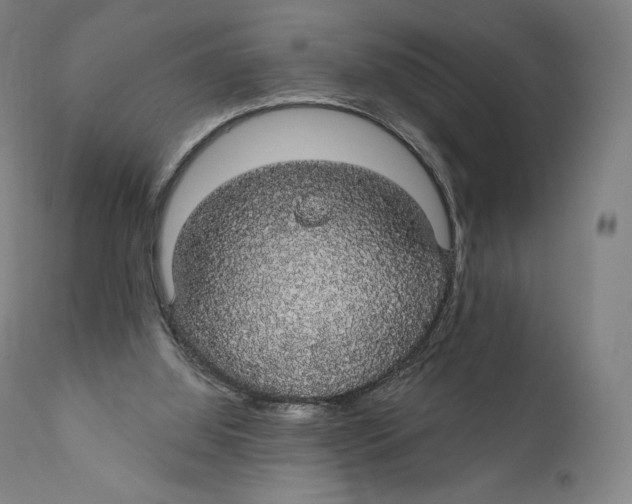 X0000110700060200907101230