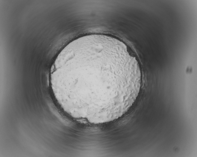 X0000110700061200907101230