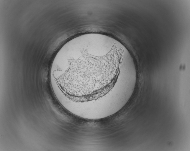 X0000110700063200907101230