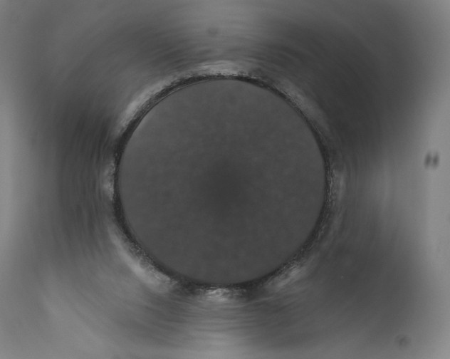 X0000110700064200907101230
