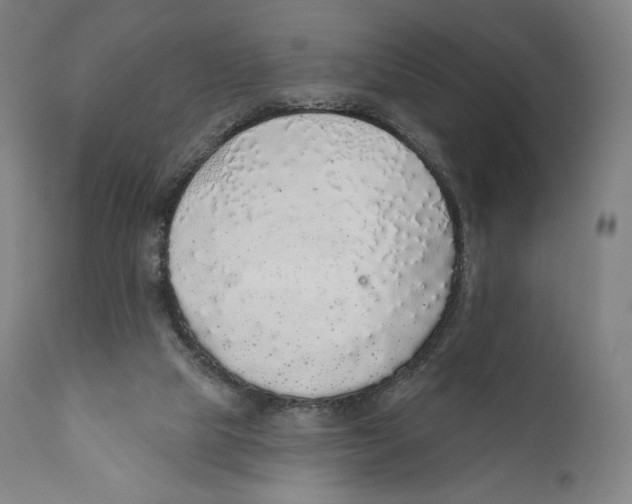 X0000110700065200907101230