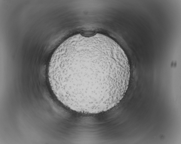 X0000110700066200907101230