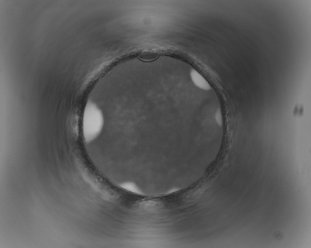 X0000110700067200907101230