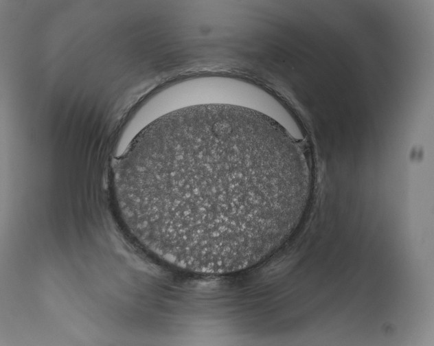 X0000110700068200907101230