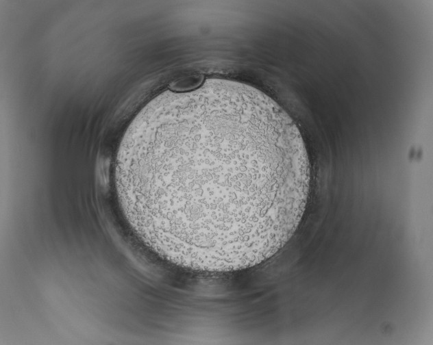 X0000110700070200907101230