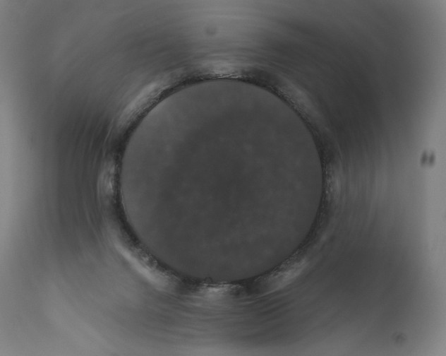 X0000110700072200907101230