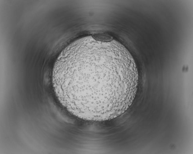X0000110700074200907101230