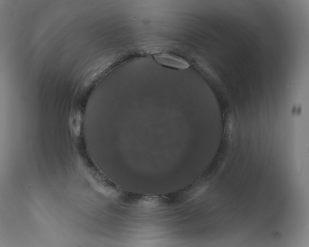 X0000110700076200907101230