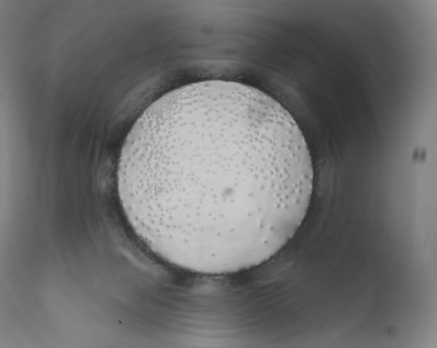 X0000110700077200907101231