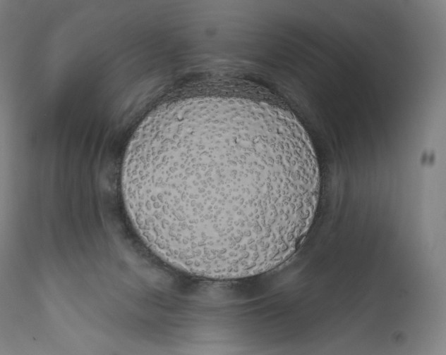 X0000110700078200907101231